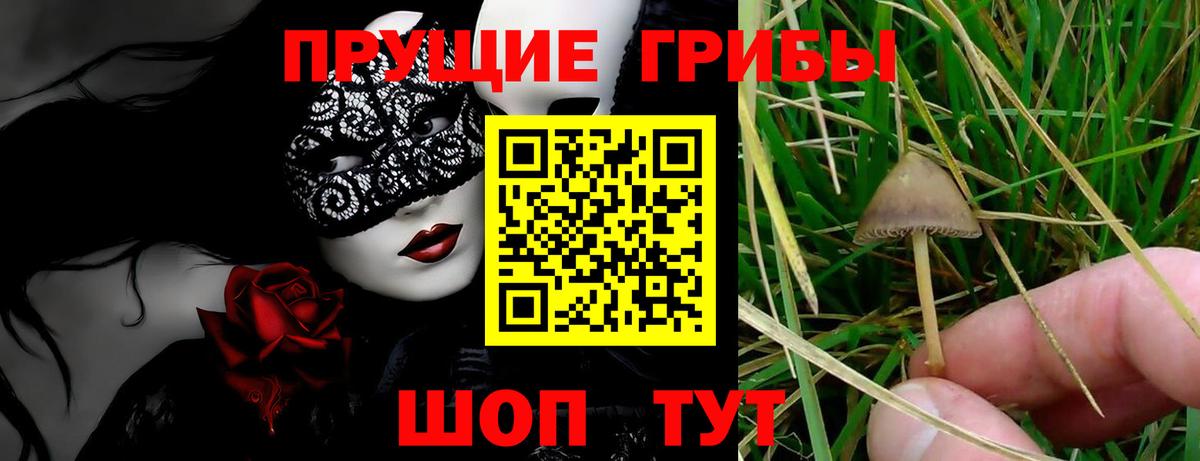 Минеральные Воды  Галлюциногенные грибы Psilocybine cubensis  Псилоцибиновые грибы ЛСД  Вход с VPN 