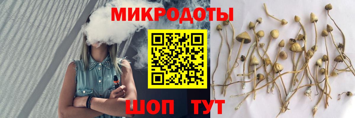 Псилоцибиновые грибы прущие грибы Минеральные Воды